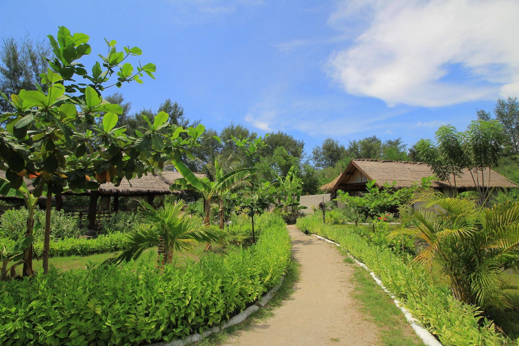 Adeng-Adeng Bungalows Gili Meno Εξωτερικό φωτογραφία
